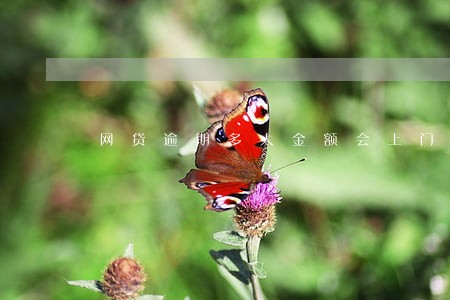 网贷逾期多大金额会上门 网贷逾期多大金额会上门