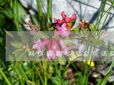 网贷逾期多大金额法院才起诉 网贷逾期多大金额法院才起诉