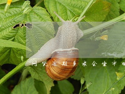 网贷逾期多家会坐牢吗 网贷逾期多家会坐牢吗