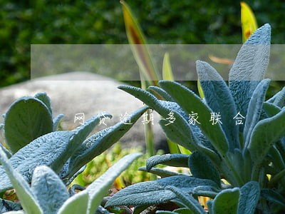 网贷逾期多家联合 网贷逾期多家联合