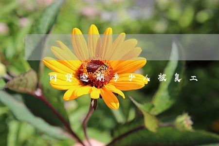 网贷逾期多少人被复工 网贷逾期多少人被复工