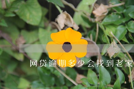 网贷逾期多少会找到老家 网贷逾期多少会找到老家