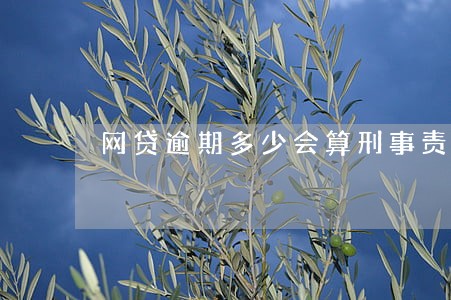 网贷逾期多少会算刑事责任 网贷逾期多少会算刑事责任