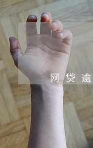 网贷逾期多少会诉讼