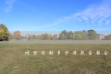 网贷逾期多少借款金额会上门 网贷逾期多少借款金额会上门