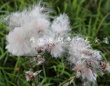 网贷逾期多少天会冻结银行卡 网贷逾期多少天会冻结银行卡