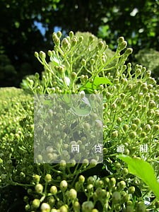 网贷逾期多少天会发函 网贷逾期多少天会发函