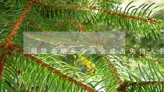 网贷逾期多少天会成为失信人名单 网贷逾期多少天会成为失信人名单