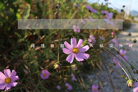 网贷逾期多少天移交外呼中心