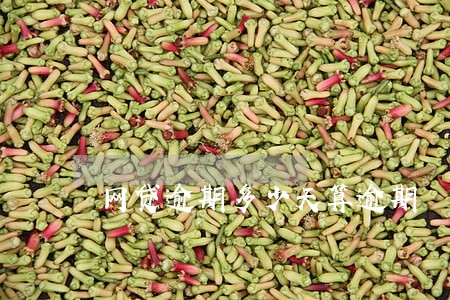 网贷逾期多少天算逾期 网贷逾期多少天算逾期