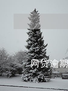 网贷逾期多少天能收法院传票 网贷逾期多少天能收法院传票
