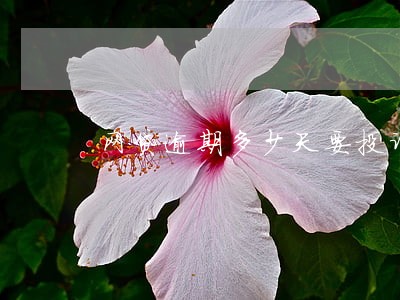 网贷逾期多少天要投诉