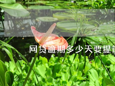 网贷逾期多少天要提前还款 网贷逾期多少天要提前还款