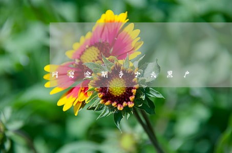 网贷逾期多少天黑户 网贷逾期多少天黑户