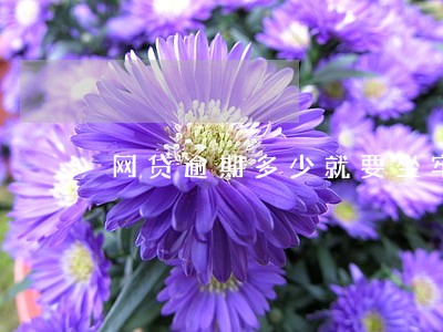 网贷逾期多少就要坐牢吗 网贷逾期多少就要坐牢吗