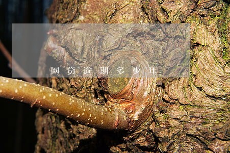 网贷逾期多少年 网贷逾期多少年