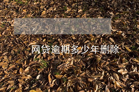 网贷逾期多少年删除 网贷逾期多少年删除