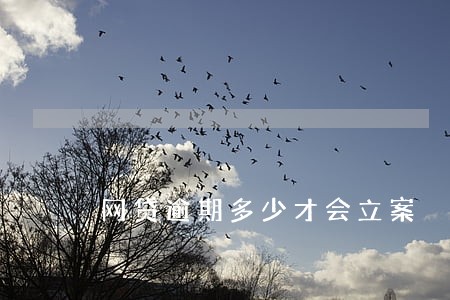 网贷逾期多少才会立案 网贷逾期多少才会立案