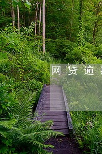 网贷逾期多少时间上征信 网贷逾期多少时间上征信