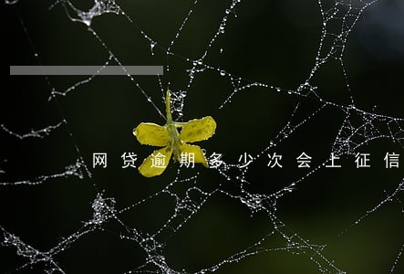 网贷逾期多少次会上征信 网贷逾期多少次会上征信