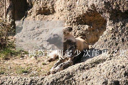 网贷逾期多少次能成了黑户 网贷逾期多少次能成了黑户