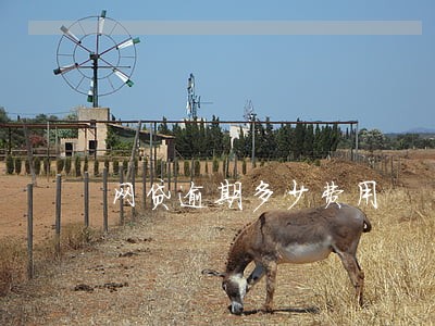 网贷逾期多少费用 网贷逾期多少费用