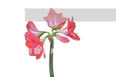 网贷逾期多少金额属诈骗