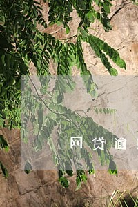 网贷逾期多少金额构成诈骗 网贷逾期多少金额构成诈骗