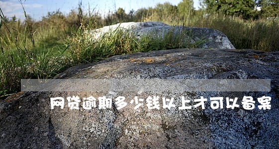 网贷逾期多少钱以上才可以备案 网贷逾期多少钱以上才可以备案