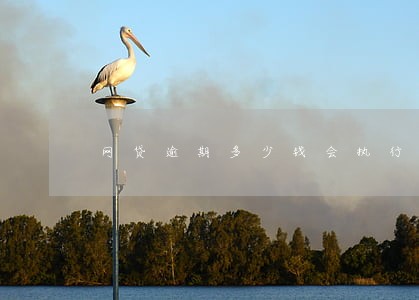 网贷逾期多少钱会执行房子 网贷逾期多少钱会执行房子