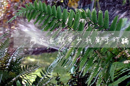 网贷逾期多少钱属于诈骗 网贷逾期多少钱属于诈骗