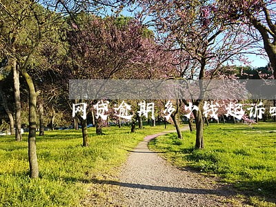 网贷逾期多少钱起诉吗 网贷逾期多少钱起诉吗