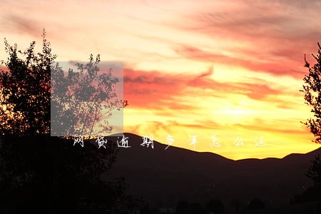 网贷逾期多年怎么还 网贷逾期多年怎么还