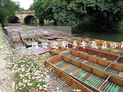 网贷逾期多年最后协商还本金 网贷逾期多年最后协商还本金