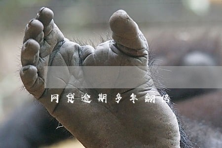 网贷逾期多年翻倍 网贷逾期多年翻倍