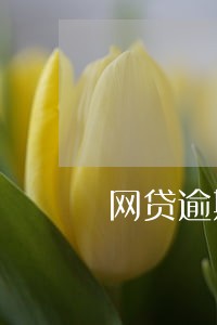 网贷逾期多年能按揭买房吗 网贷逾期多年能按揭买房吗
