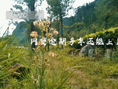 网贷逾期多年还能上岸吗 网贷逾期多年还能上岸吗
