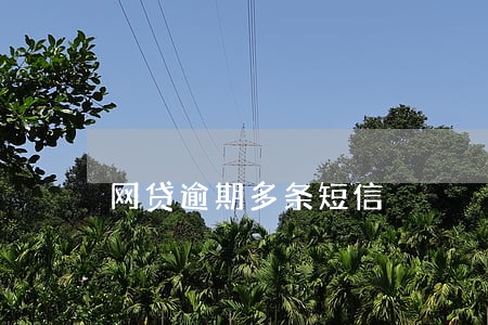 网贷逾期多条短信 网贷逾期多条短信