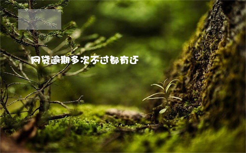 网贷逾期多次不过都有还 网贷逾期多次不过都有还