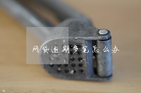 网贷逾期多笔怎么办 网贷逾期多笔怎么办