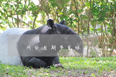 网贷逾期多笔账单 网贷逾期多笔账单
