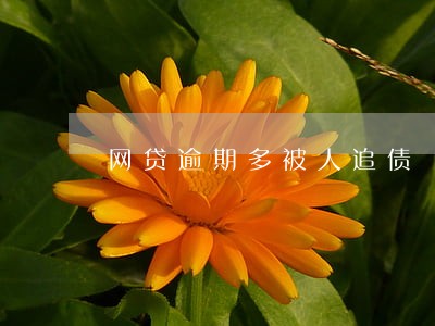 网贷逾期多被人追债 网贷逾期多被人追债