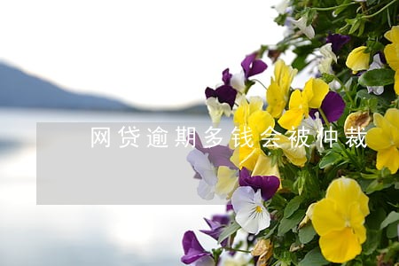 网贷逾期多钱会被仲裁 网贷逾期多钱会被仲裁