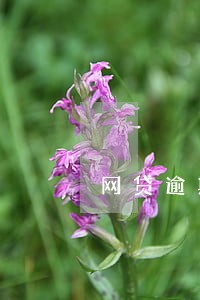 网贷逾期多钱会被催收 网贷逾期多钱会被催收