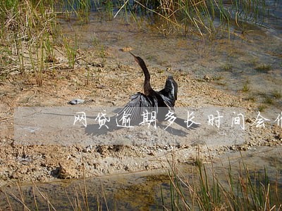 网贷逾期多长时间会催收 网贷逾期多长时间会催收