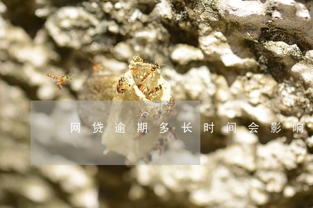 网贷逾期多长时间会影响信用卡 网贷逾期多长时间会影响信用卡