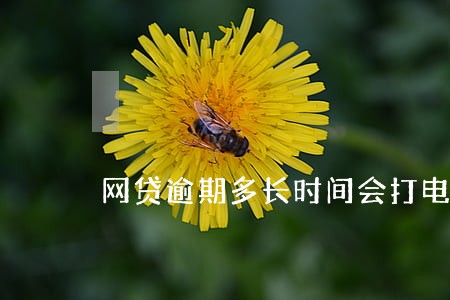 网贷逾期多长时间会打电话给家人 网贷逾期多长时间会打电话给家人