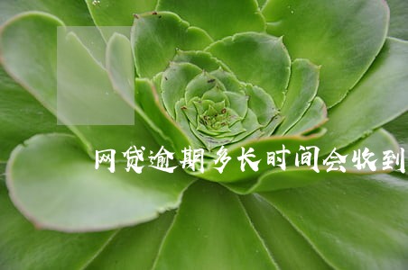 网贷逾期多长时间会收到提醒 网贷逾期多长时间会收到提醒