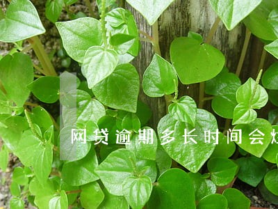 网贷逾期多长时间会烂 网贷逾期多长时间会烂