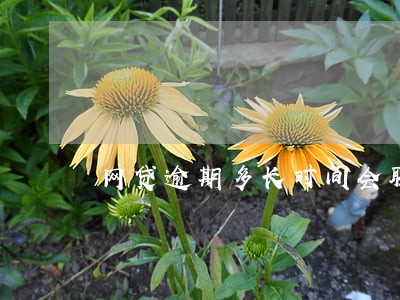 网贷逾期多长时间会联系公司 网贷逾期多长时间会联系公司